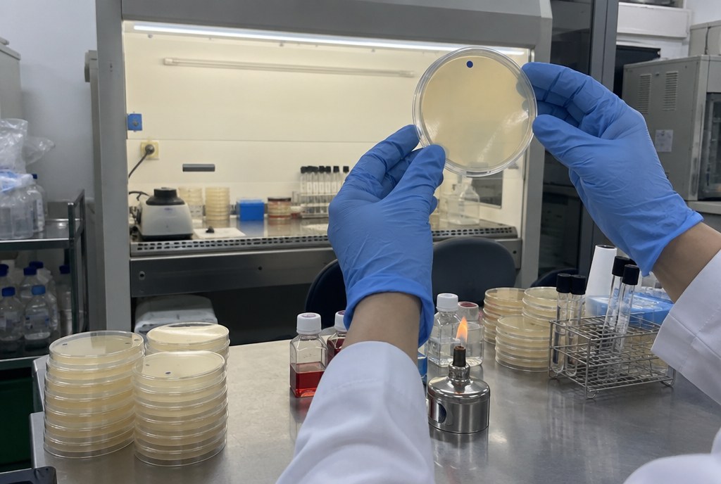Culture plates in the quality control lab