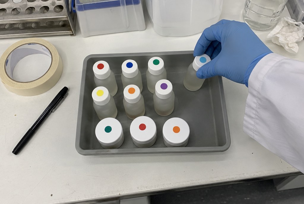 Lab samples packed in a tray for a client